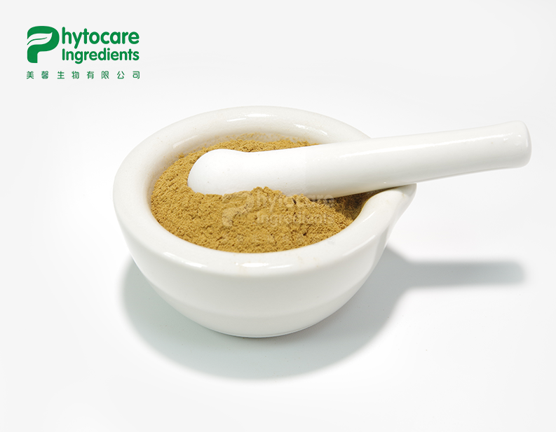 Echinacea purpurea Extract